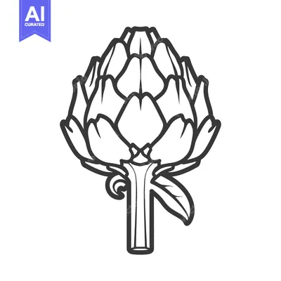 Line art illustration of a single artichoke