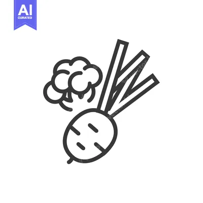 Popular premium asset: Line art illustration of a single beet with leaves