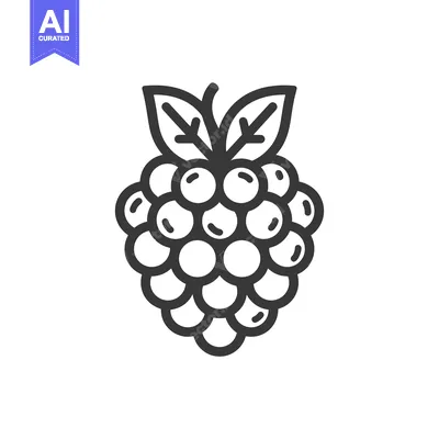 Aset premium populer: Line Art Illustration of a Single Blackberry