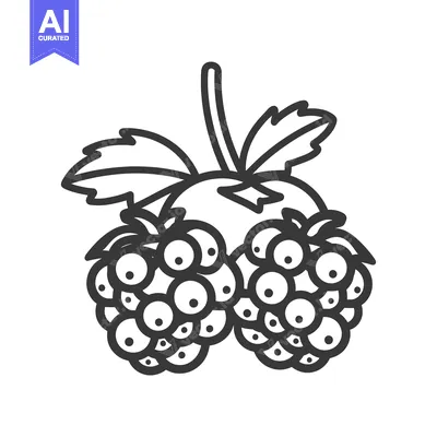 Aset desain premium: Line Art Illustration of a Single Blackberry with Leaves