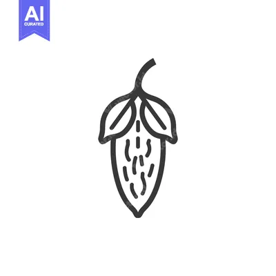 Premium design asset: Line Art Illustration of a Single Cacao Pod