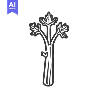 Line art illustration of a single celery stalk with leaves