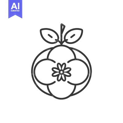 Popular premium asset: Line art illustration of a single flower with leaves