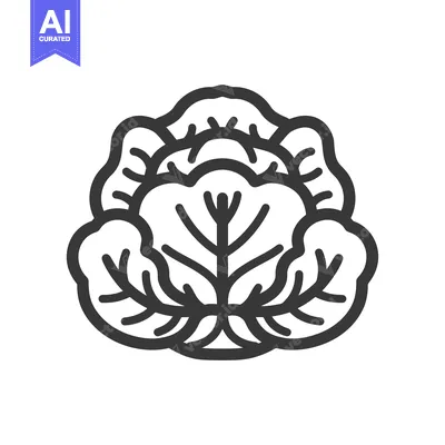 Aset premium populer: Line Art Illustration of a Single Head of Cabbage