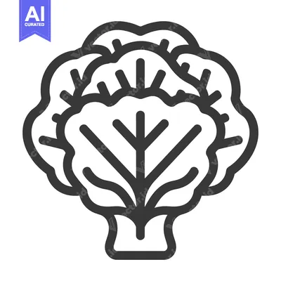 Aset desain premium: Line Art Illustration of a Single Head of Cabbage