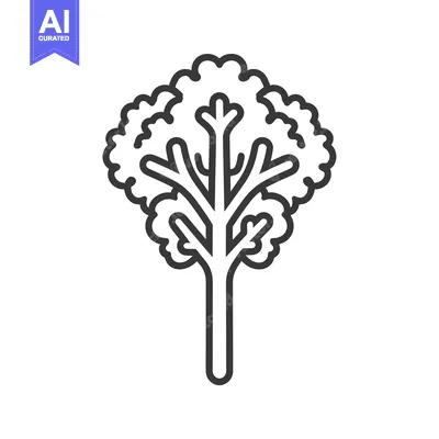 Aset premium populer: Line art illustration of a single kale leaf