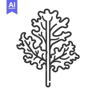 Popular premium asset: Line art illustration of a single leaf with a stem