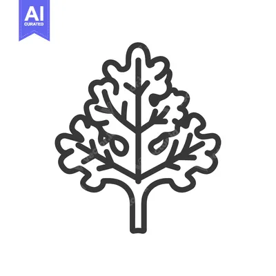 Aset premium populer: Line art illustration of a single leaf with a stem