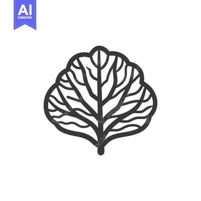 Popular premium asset: Line Art Illustration of a Single Leaf with Detailed Veins