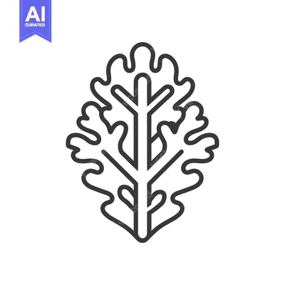 Premium design asset: Line art illustration of a single leaf with multiple lobes