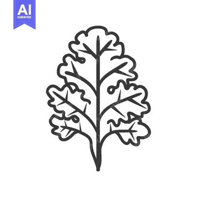 Aset desain premium: Line art illustration of a single leaf with multiple lobes