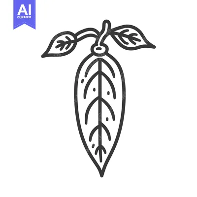 Aset premium populer: Line Art Illustration of a Single Leaf with Veins