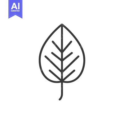 Aset desain premium: Line Art Illustration of a Single Leaf with Veins