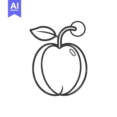 Popular premium asset: Line Art Illustration of a Single Plum with a Leaf