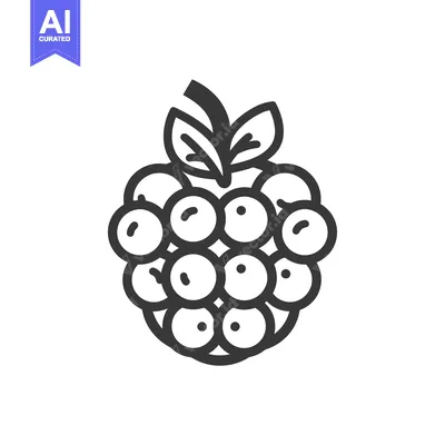 Aset desain premium: Line art illustration of a single raspberry with leaves