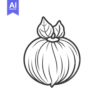 Popular premium asset: Line Art Illustration of a Single Round Fruit with Leaves