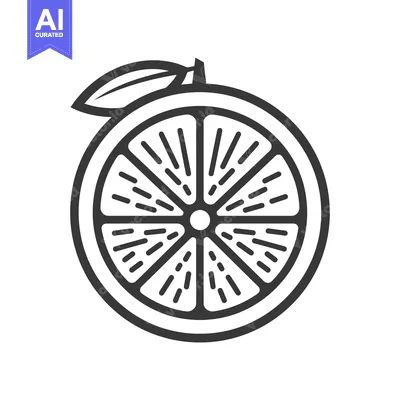 Popular premium asset: Line Art Illustration of a Single Slice of Orange with a Leaf