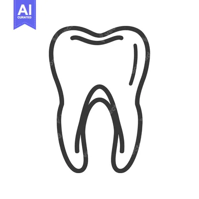 Line art illustration of a single tooth