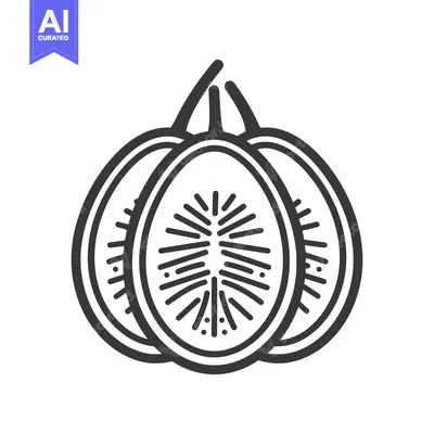 Popular premium asset: Line art illustration of a sliced kiwi fruit