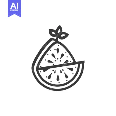 Aset premium populer: Line art illustration of a sliced lime with a leaf