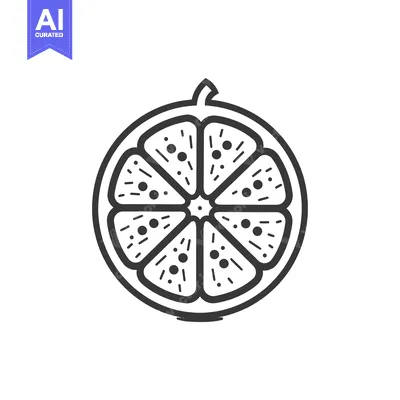 Aset premium populer: Line Art Illustration of a Sliced Orange
