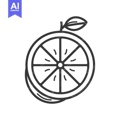 Aset desain premium: Line Art Illustration of a Sliced Orange with a Leaf