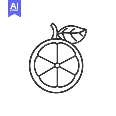 Popular premium asset: Line Art Illustration of a Sliced Orange with a Leaf