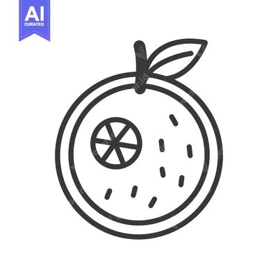 Aset desain premium: Line Art Illustration of a Sliced Orange with a Leaf