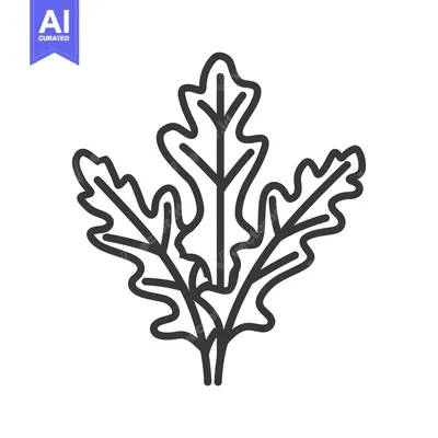 Popular premium asset: Line Art Illustration of a Sprig of Oak Leaves