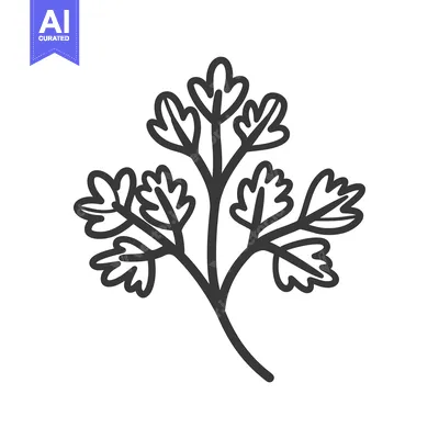 Aset premium populer: Line Art Illustration of a Sprig of Parsley
