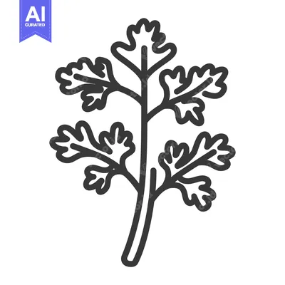 Premium design asset: Line Art Illustration of a Sprig of Parsley
