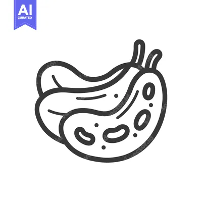 Aset premium populer: Line Art Illustration of a Stacked Pile of Cucumbers