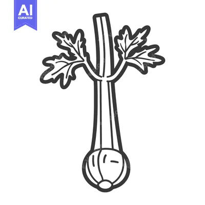 Aset desain premium: Line art illustration of a stalk of celery