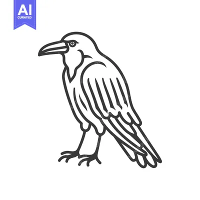 Popular premium asset: Line Art Illustration of a Standing Raven