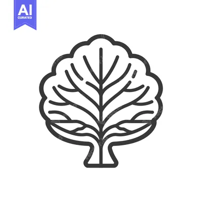 Popular premium asset: Line art illustration of a tree with a rounded crown