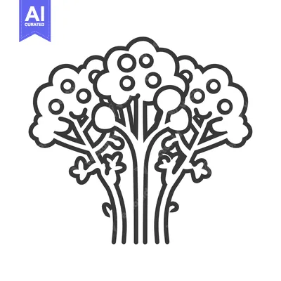 Aset premium populer: Line Art Illustration of a Tree with Multiple Trunks and Circular Frui
