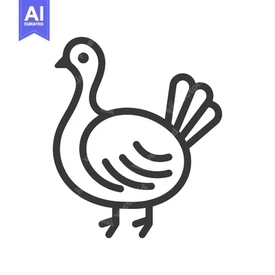 Premium design asset: Line art illustration of a turkey