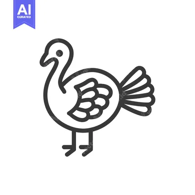 Aset desain premium: Line art illustration of a turkey with detailed feathers
