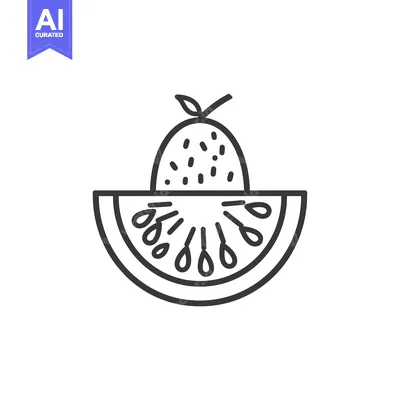 Popular premium asset: Line Art Illustration of a Watermelon with a Kiwi on Top