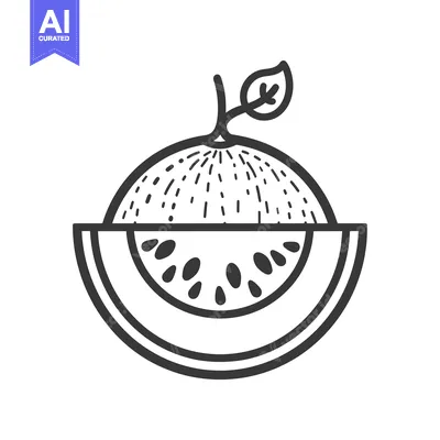 Aset premium populer: Line art illustration of a watermelon with a leafy stem