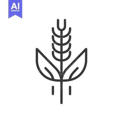 Aset premium populer: Line art illustration of a wheat stalk with leaves and raindrops