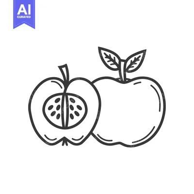 Aset desain premium: Line Art Illustration of a Whole and Halved Apple