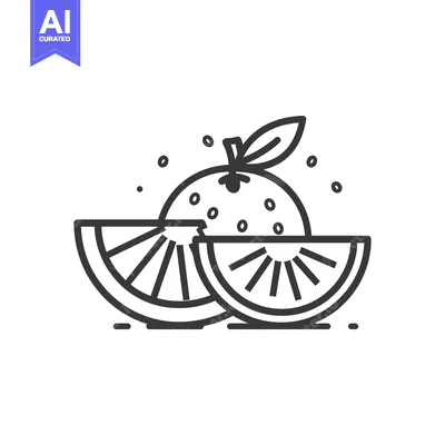 Aset desain premium: Line Art Illustration of a Whole and Sliced Orange