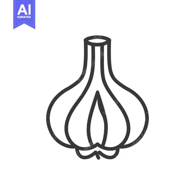 Line art illustration of a whole garlic bulb