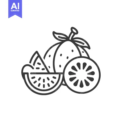 Aset premium populer: Line art illustration of a whole orange, a slice, and a segment