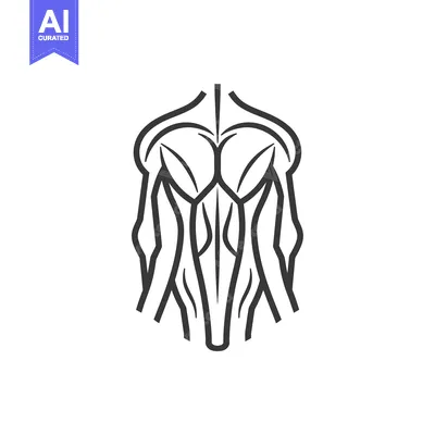Aset desain premium: Line Art Illustration of Back Muscles
