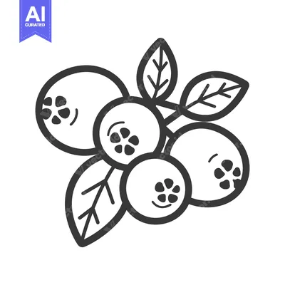 Aset premium populer: Line Art Illustration of Four Blueberries with Leaves
