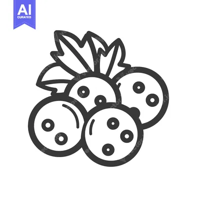 Premium design asset: Line Art Illustration of Four Round Fruits with Leaves