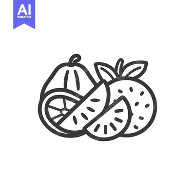 Aset desain premium: Line art illustration of fruit slices