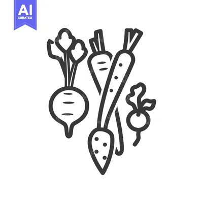 Aset desain premium: Line Art Illustration of Root Vegetables